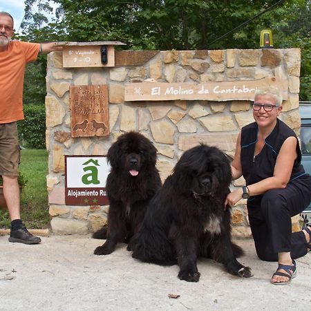 Entrambasaguas  Posada Pet Friendly El Molino De Cantabria מראה חיצוני תמונה
