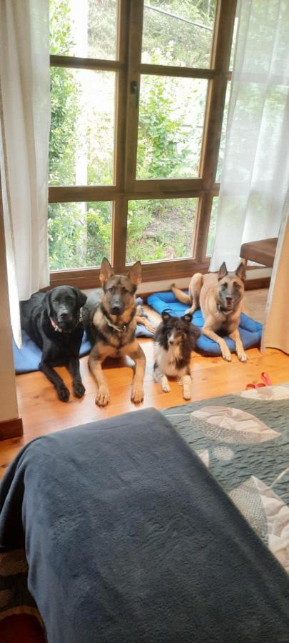 Entrambasaguas  Posada Pet Friendly El Molino De Cantabria מראה חיצוני תמונה