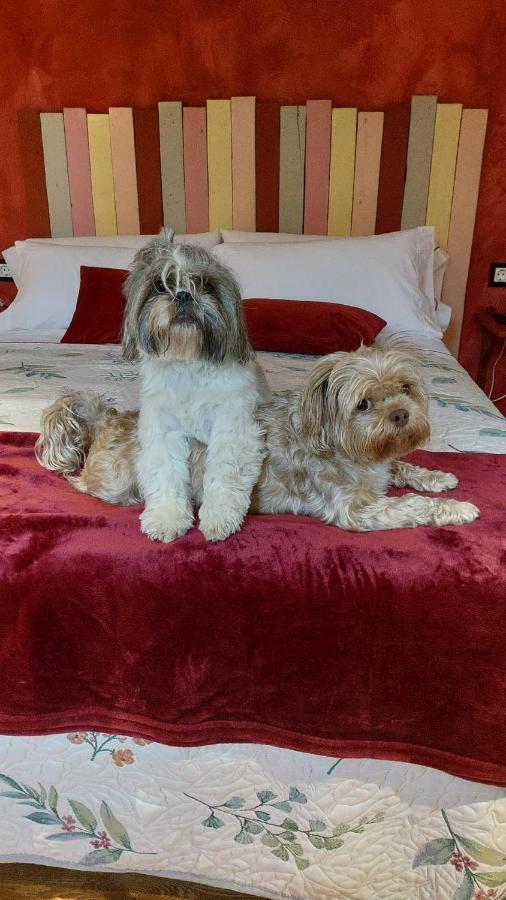 Entrambasaguas  Posada Pet Friendly El Molino De Cantabria מראה חיצוני תמונה