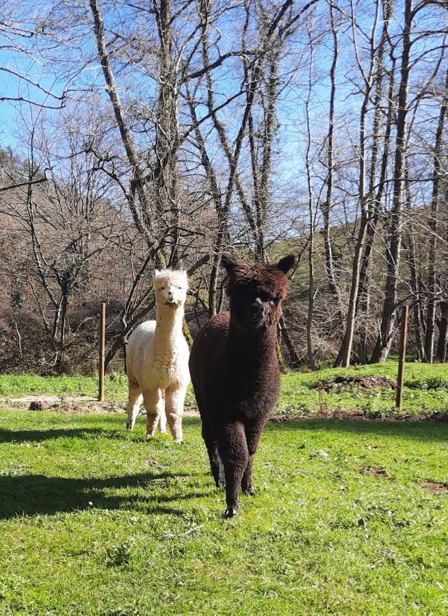 Entrambasaguas  Posada Pet Friendly El Molino De Cantabria מראה חיצוני תמונה