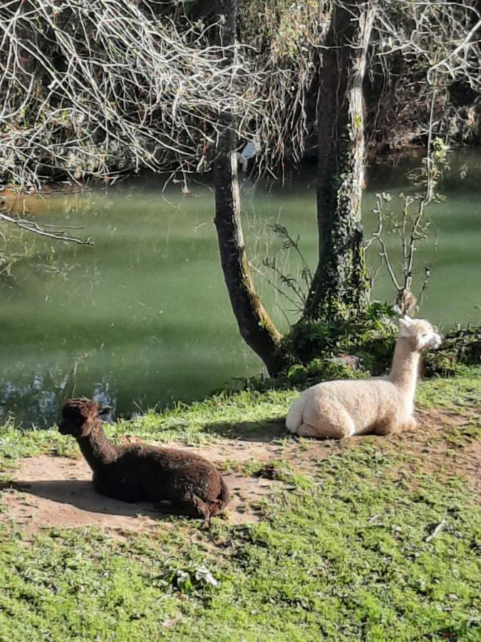 Entrambasaguas  Posada Pet Friendly El Molino De Cantabria מראה חיצוני תמונה