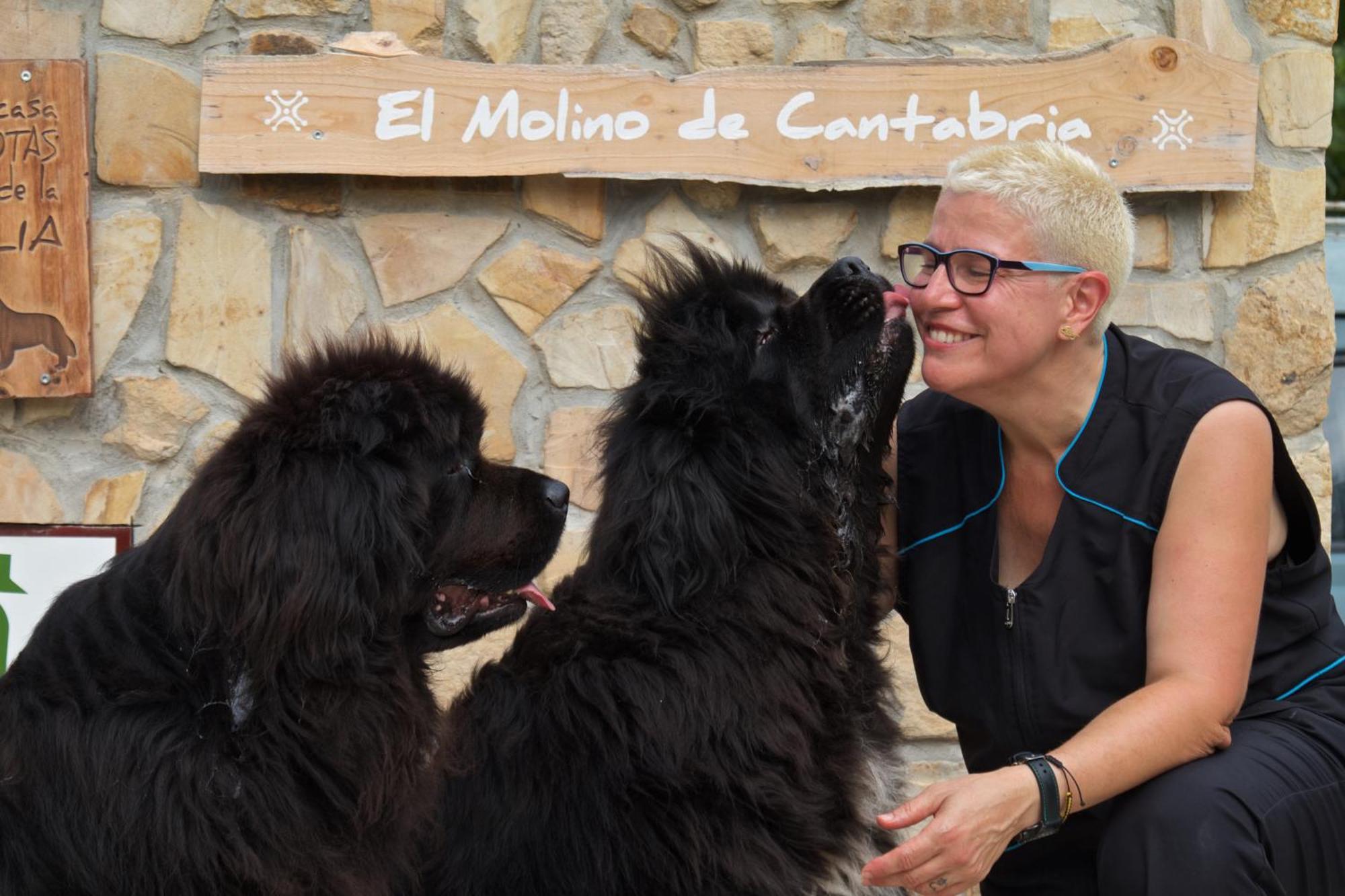 Entrambasaguas  Posada Pet Friendly El Molino De Cantabria מראה חיצוני תמונה