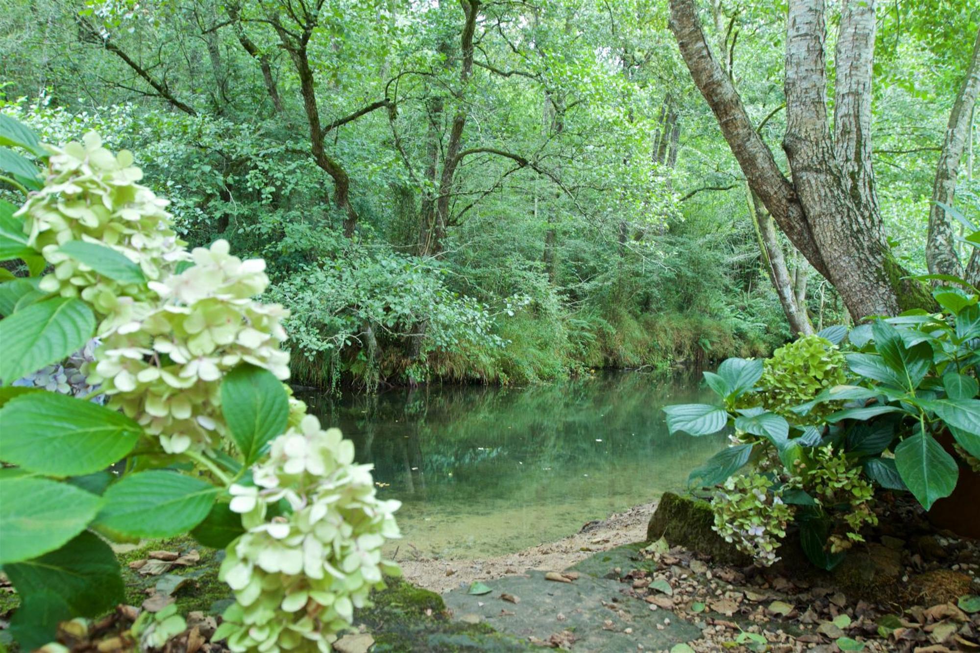 Entrambasaguas  Posada Pet Friendly El Molino De Cantabria מראה חיצוני תמונה